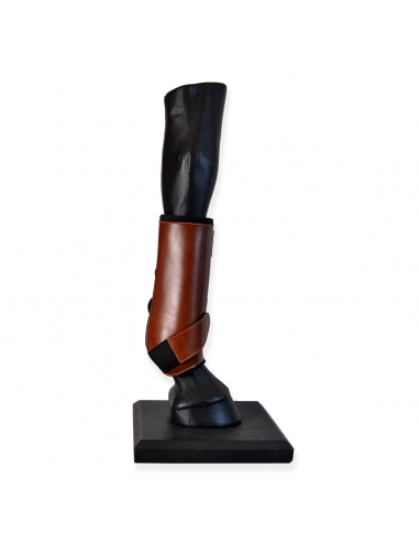 Protectores doma confort 'Los Nietos'