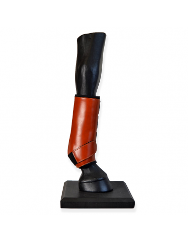 Protectores doma confort 'Los Nietos'