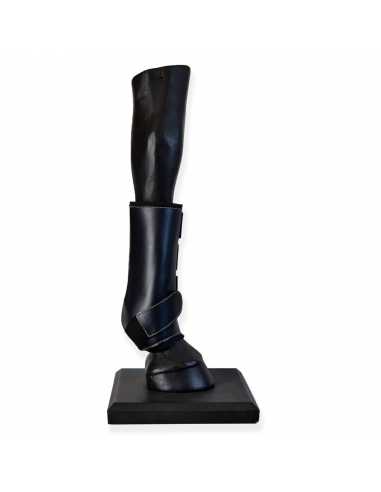 Protectores doma confort 'Los Nietos'