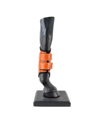 Protector cuero y neopreno 'Los Nietos'