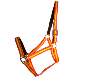 Cabezada cuadra Eco "Los Nietos Dressage"| Varios colores