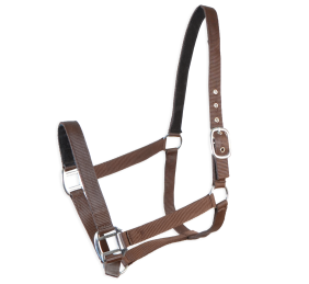 Cabezada cuadra Eco "Los Nietos Dressage"| Varios colores