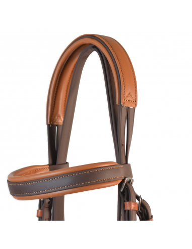 Cabezada inglesa doma "Los Nietos...