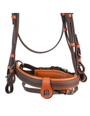 Cabezada inglesa doma "Los Nietos...