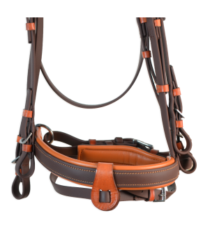 Cabezada inglesa doma "Los Nietos Dressage" con doble rienda Biothane | Marrón y avellana