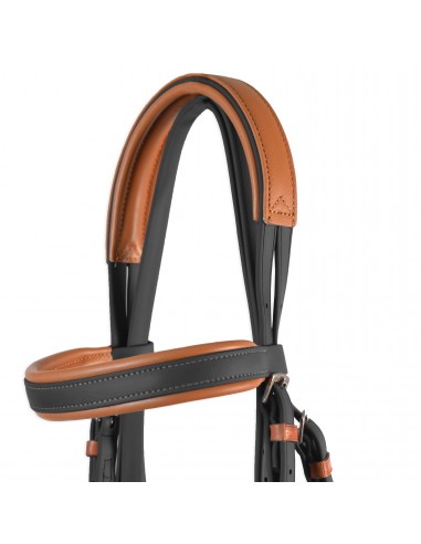 Cabezada inglesa doma "Los Nietos...