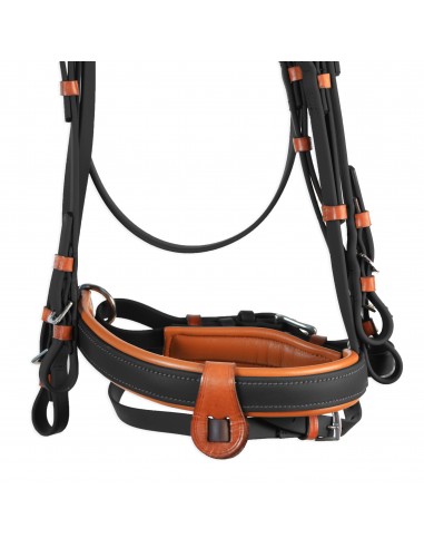 Cabezada inglesa doma "Los Nietos...