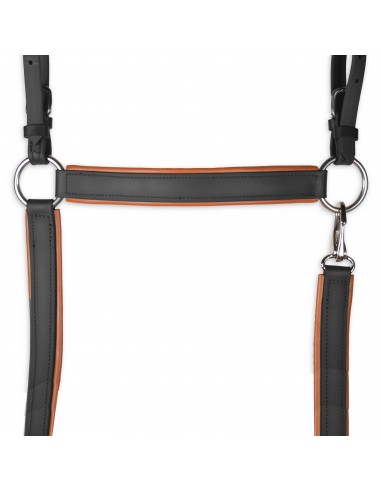 Pechopetral inglés Biothane 'Los...