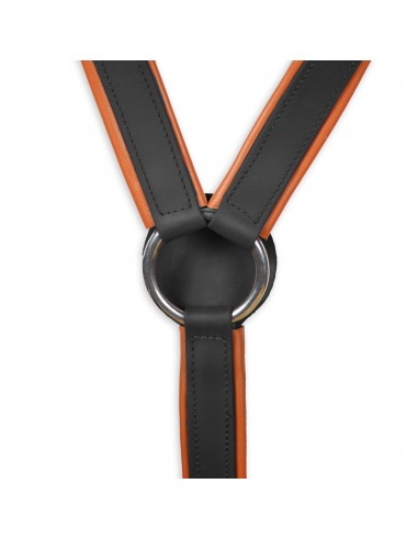 Pechopetral inglés Biothane 'Los...