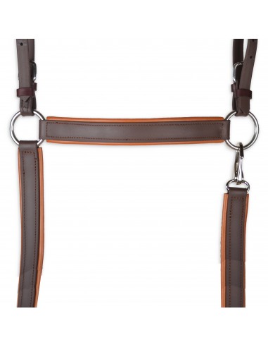 Pechopetral inglés Biothane 'Los...