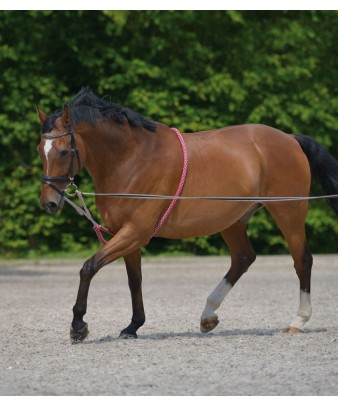 Soporte para ramal Waldhausen