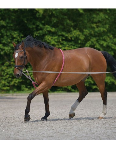 Soporte para ramal Waldhausen