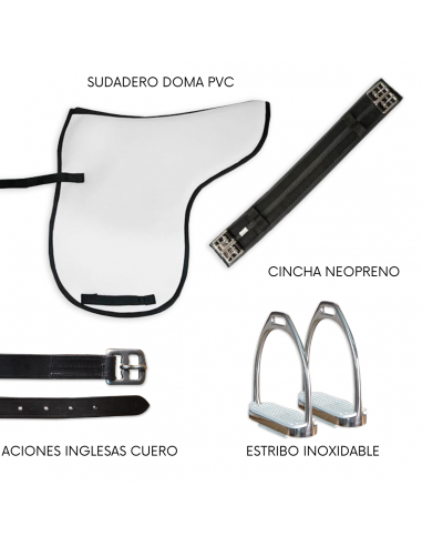 Pack silla de montar inglesa doma |...