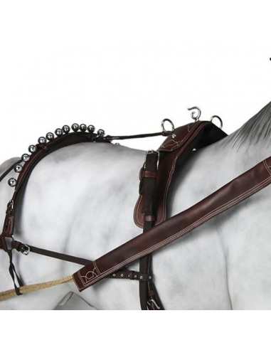 Enganche Calesero Nylon-Cuero