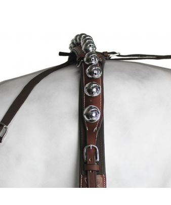 Enganche Calesero Nylon-Cuero