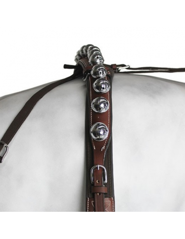 Enganche Calesero Nylon-Cuero