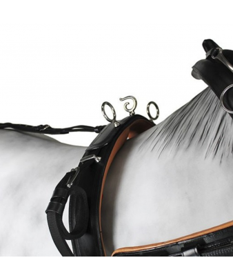 Enganche collarón de cuero y nylon