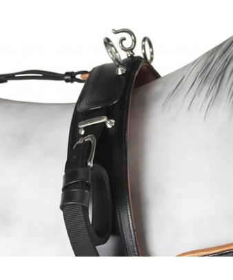 Enganche collarón de cuero y nylon