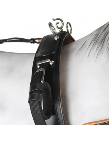 Enganche collarón de cuero y nylon