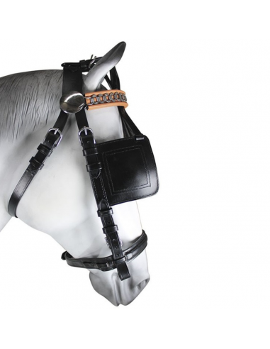 Enganche collarón de cuero y nylon