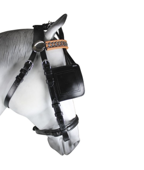 Enganche collarón de cuero y nylon