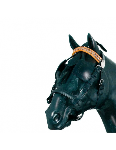 Enganche collarón de cuero y nylon