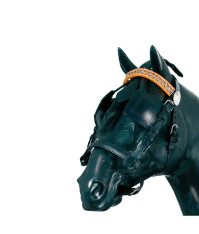 Enganche collarón de cuero y nylon