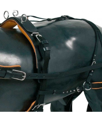 Enganche collarón de cuero y nylon