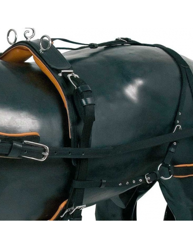 Enganche collarón de cuero y nylon