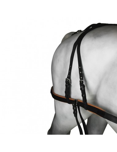 Enganche Pecherín Cuero/Nylon