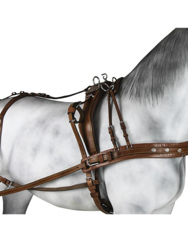 Enganche Pecherín Cuero