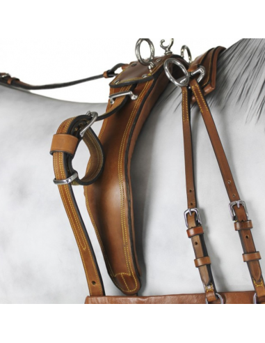 Enganche Pecherín Cuero