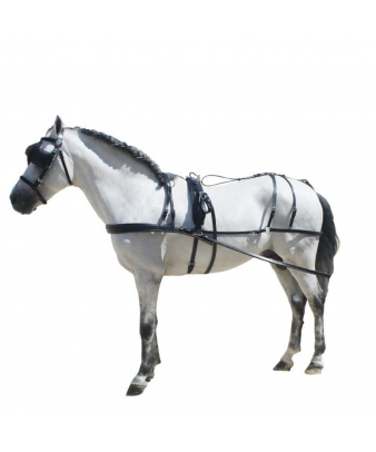 Enganche de cuero para... 2