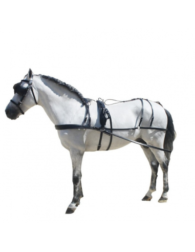 Enganche de cuero para pony, shetland...