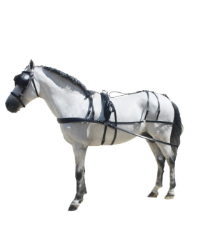 Enganche de cuero para poni y shetland | Negro