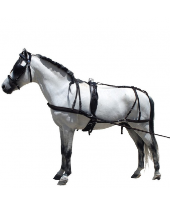 Enganche de cuero para poni...