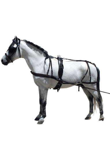 Enganche de cuero para pony, shetland...