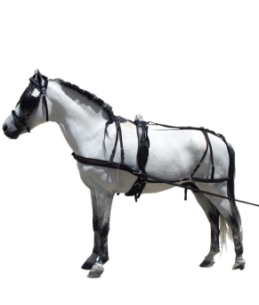 Enganche de cuero para poni y shetland | Negro