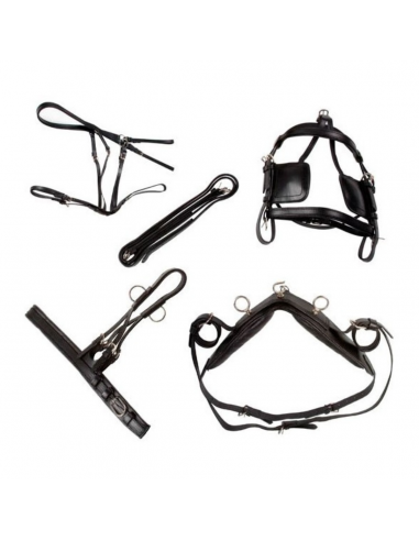 Enganche de cuero para pony, shetland...