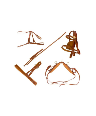 Enganche pony y shetland... 2