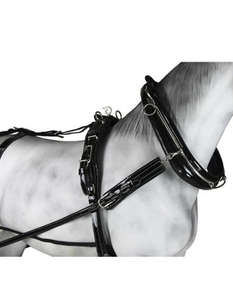 Enganche collarón charol