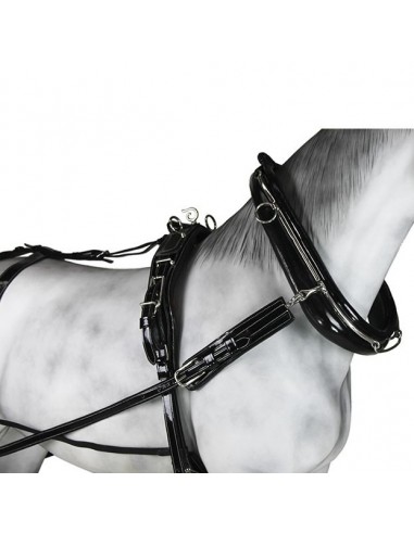 Enganche collarón charol