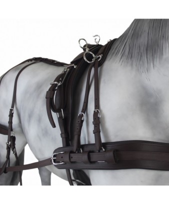 Enganche Tannery Anatómico