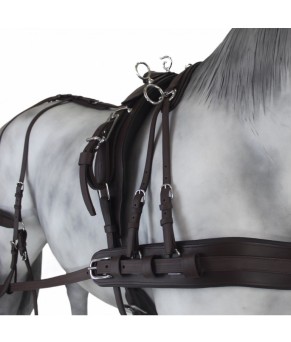 Enganche Tannery Anatómico