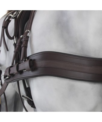 Enganche Tannery Anatómico