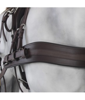 Enganche Tannery Anatómico