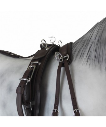 Enganche Tannery Anatómico