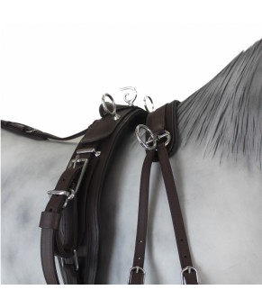 Enganche Tannery Anatómico