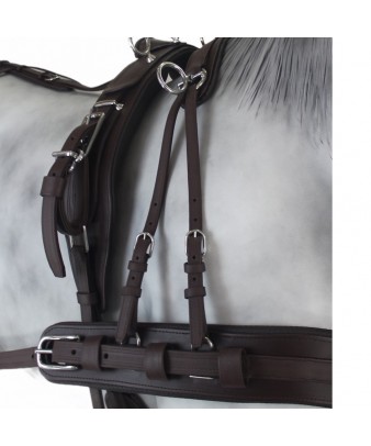 Enganche Tannery Anatómico