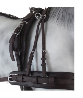 Enganche Tannery Anatómico